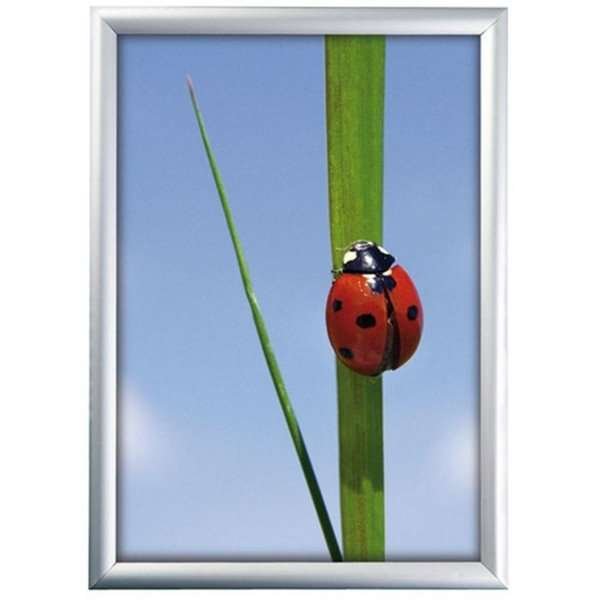 Klikramme med 25mm aluminium profil, s&oslash;lv - A1