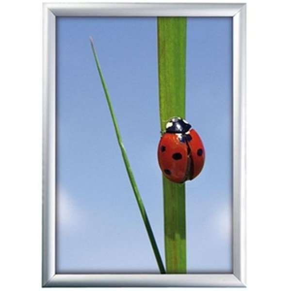 Klikramme med 25mm aluminium profil, s&oslash;lv - A3