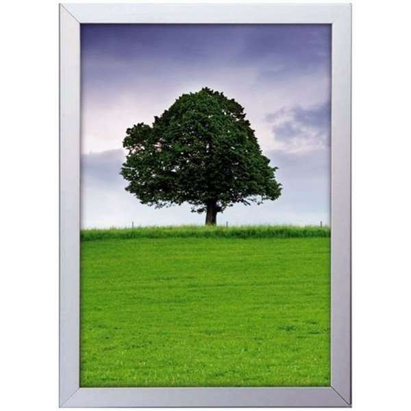 Window Alu Klikramme dobbeltsidet - 32 mm - 50x70 cm - sølv