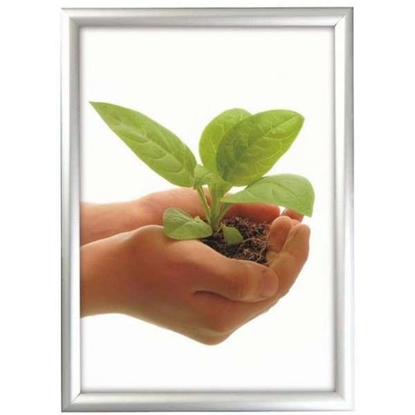 Window Alu Klikramme dobbeltsidet - 25 mm - A3 - sølv