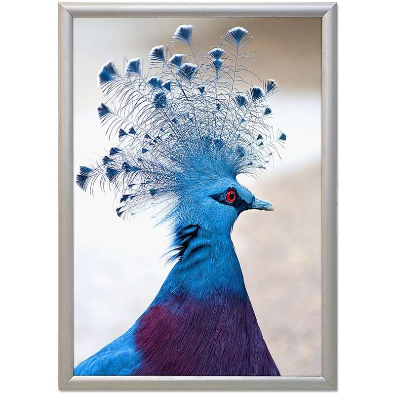 Klikramme med 17mm aluminium profil, sølv - A5