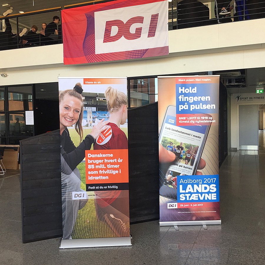 Lux Roll-up kassette, s&oslash;lv, enkeltsidet, 56 x 230 cm