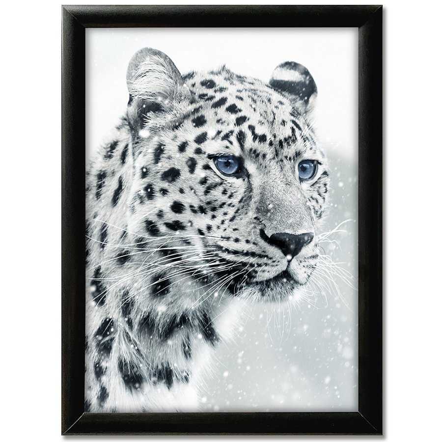 Klikramme, 25 mm profil, Sort, A1 - 59,4 x 84,1 cm