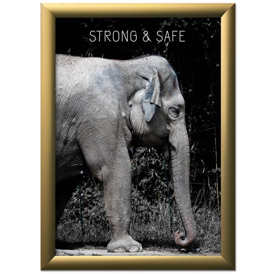 Klikramme med 25mm aluminium profil, guld - A3